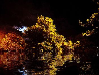 Trees by lake against sky at night