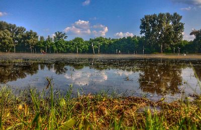 Reflection of trees in lake against sky