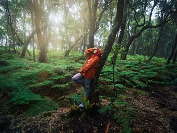 Rear view of woman standing in forest