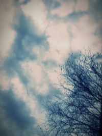 Low angle view of silhouette tree against sky