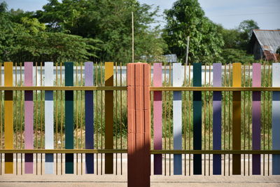 Close-up of trees against sky