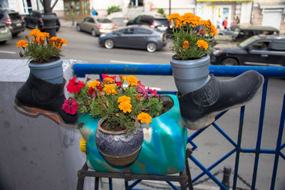 Close-up of flower pot on potted plant