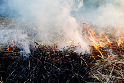 Panoramic view of bonfire