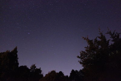 Low angle view of silhouette trees against sky at night