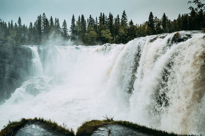 Scenic view of waterfall in forest