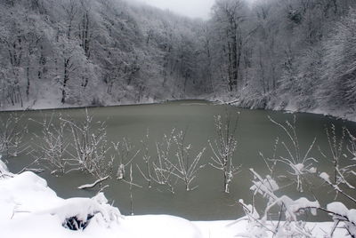 Frozen lake in forest