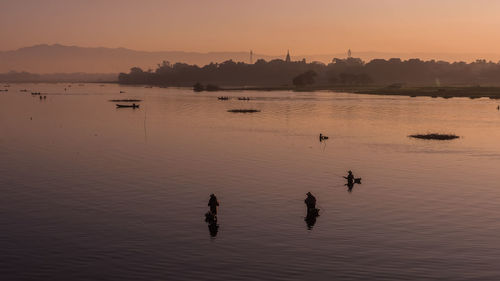 Silhouette birds swimming in lake against sky during sunset