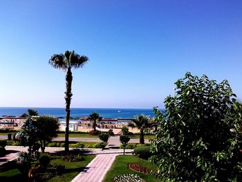 Scenic view of sea against clear sky