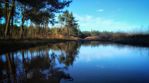 Reflection of trees in lake against sky