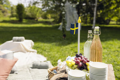 Swedish flag in fruit bowl at picnic