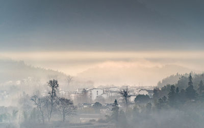 Panoramic shot of trees against sky