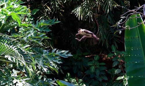 Bird perching on tree