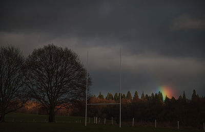 Low angle view of trees on field against sky at sunset