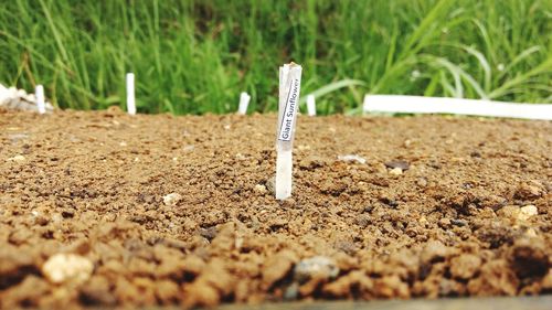 Close-up of cigarette on field