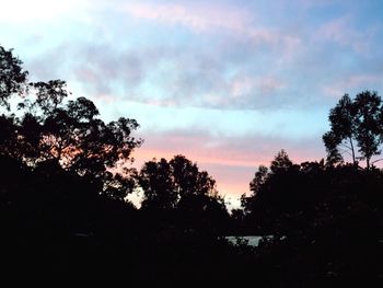Silhouette trees against sky during sunset