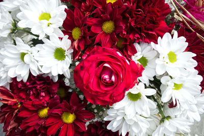 High angle view of red roses