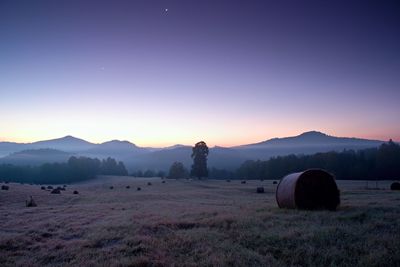 Early foggy morning at meadows. ground frost covered grass withgrey hoarfrost