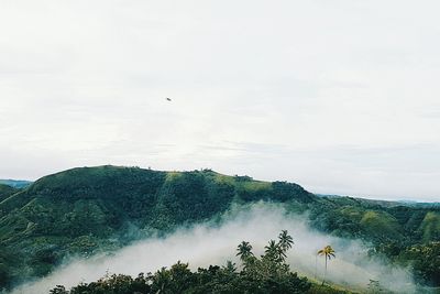 Birds flying over sea against sky