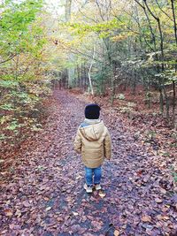 Rear view of man walking in forest