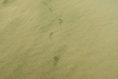 High angle view of footprints on sand at beach