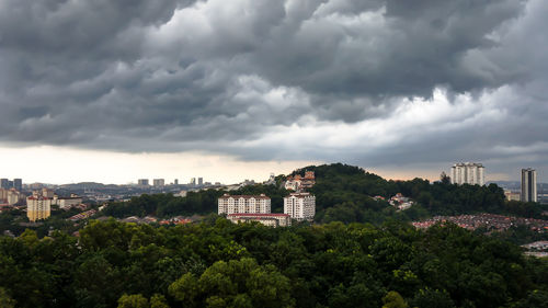 Trees and buildings in city against sky