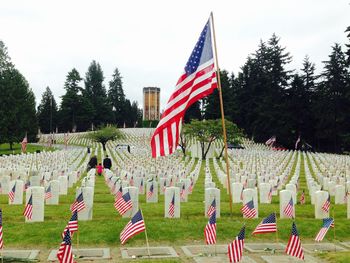 American flags at cemetery against trees