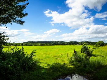 Scenic view of agricultural field against sky