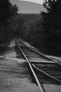 Close-up of railroad track amidst trees