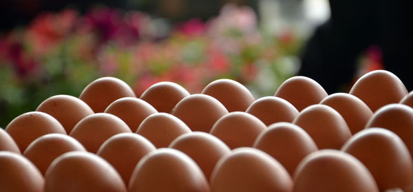 Close-up of eggs