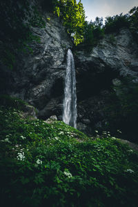 Scenic view of waterfall in forest