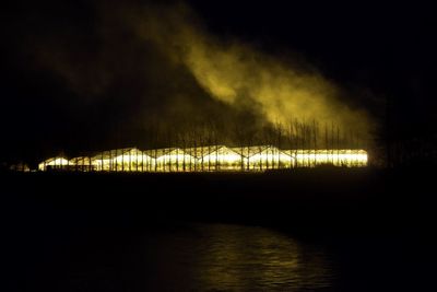 Silhouette trees against sky at night