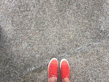 Low section of woman with red canvas shoes on footpath