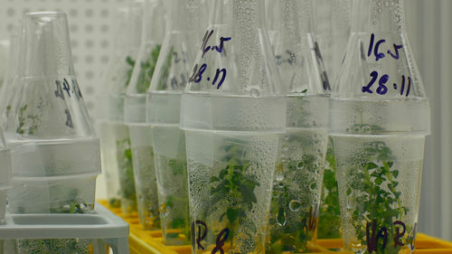 Close-up of wine glass with bottles