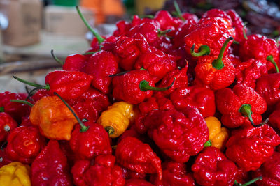 Red pepper for sale at the famous and grandiose são joaquim fair in salvador, bahia, brazil.