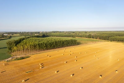 Beautiful aerial view of hay bales in agriculture field