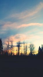 Silhouette trees against sky during sunset