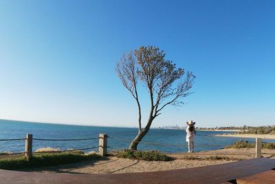 Tree on beach against clear blue sky