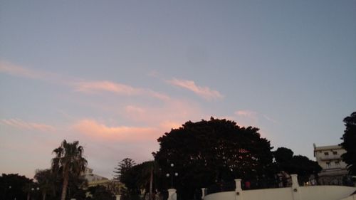 Trees against sky at sunset