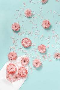 High angle view of pink flowers on table