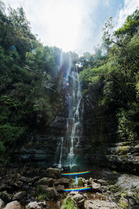 Scenic view of waterfall in forest