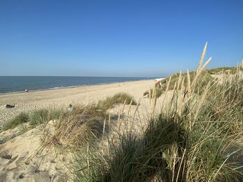 Scenic view of beach against clear blue sky