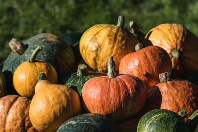 Close-up of many orange and green colored pumpkins for sale at market stall