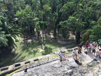 Group of people on rock against trees