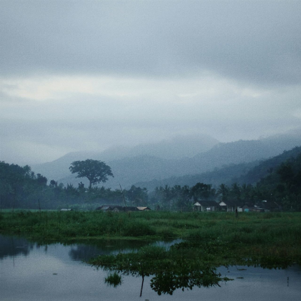 tranquil scene, sky, tranquility, tree, water, scenics, lake, beauty in nature, landscape, cloud - sky, nature, cloudy, field, grass, waterfront, weather, non-urban scene, cloud, river, countryside