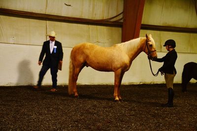 Horse back rider standing by horse on field