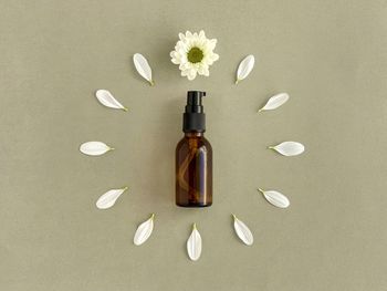 High angle view of white flower on floor