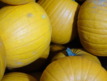 Close-up of pumpkins for sale at market stall