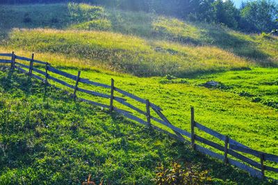 Scenic view of rural landscape