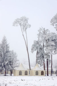 Trees on field against sky during winter