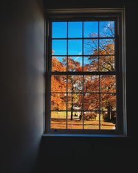 Trees seen through glass window